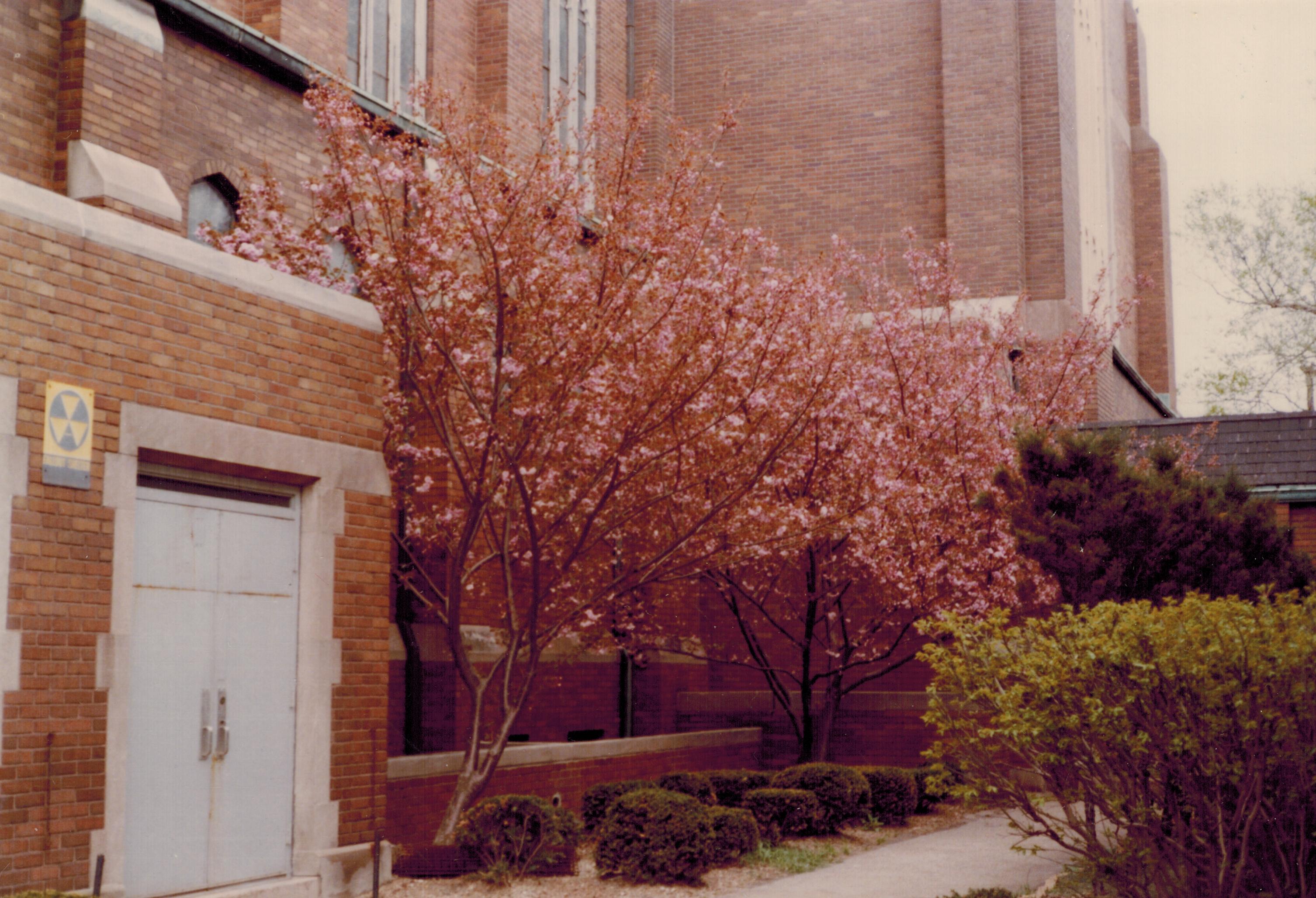 River Rouge Historical Museum Ann Visger School Archive